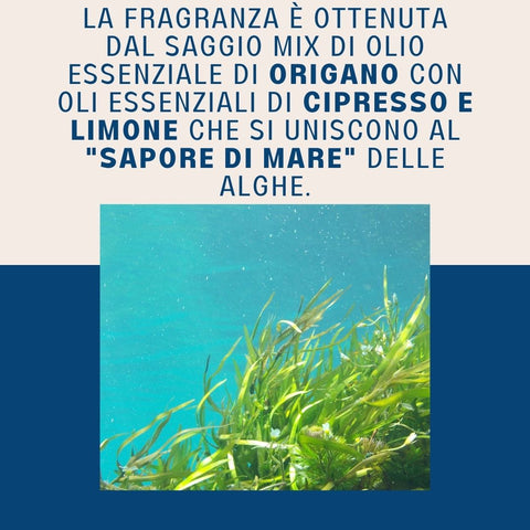 Brezza Oceanica - Sapone Artigianale da Doccia per Uomo